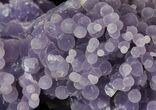 Shimmering, Purple, Botryoidal Grape Agate - Indonesia #79095-3